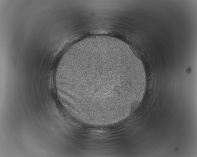 X0000115210743200911251507