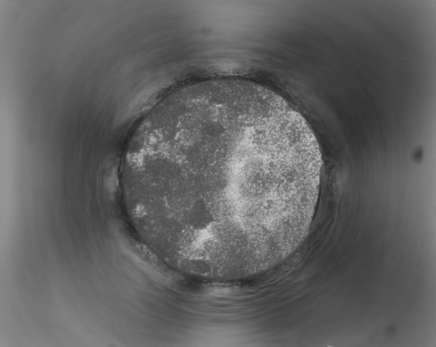 X0000115210746200911251507