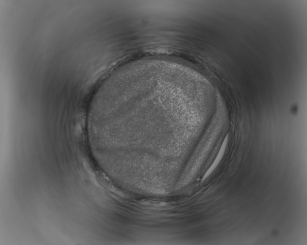 X0000115210747200911251507