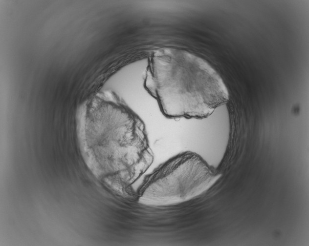 X0000115210749200911251507