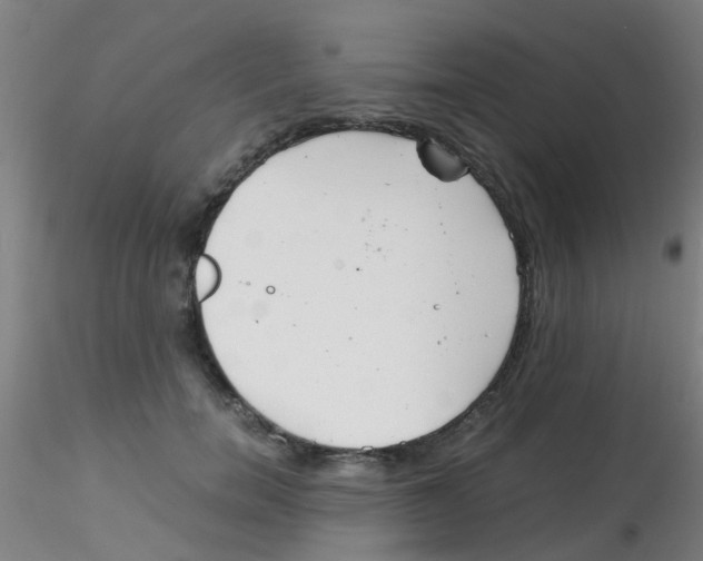 X0000115210750200911251507