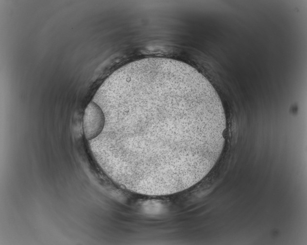 X0000115210751200911251507