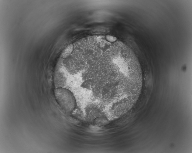 X0000115210753200911251507