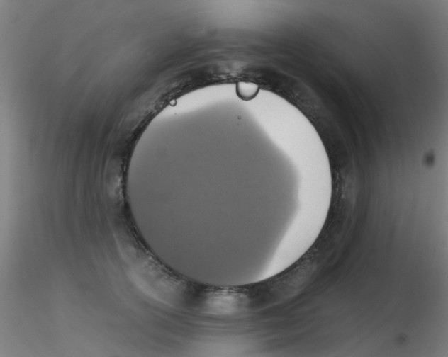 X0000115210754200911251507