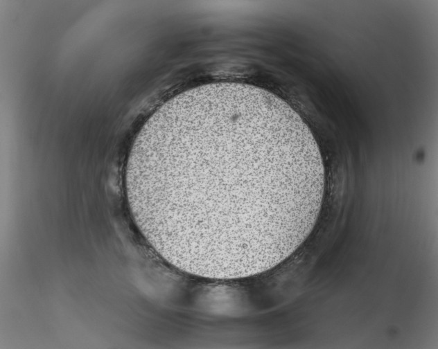 X0000115210755200911251507