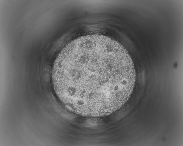 X0000115210757200911251507