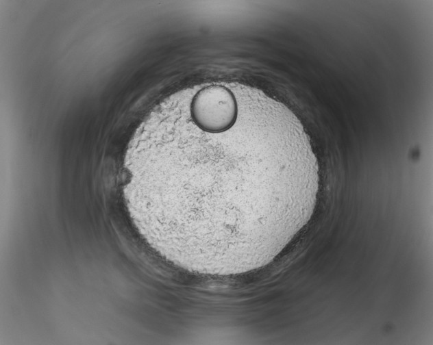 X0000115210758200911251507