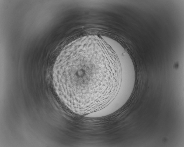 X0000115210759200911251507