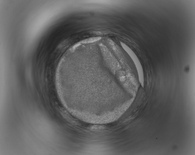 X0000115210762200911251507