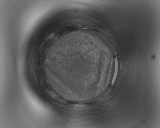 X0000115210763200911251507