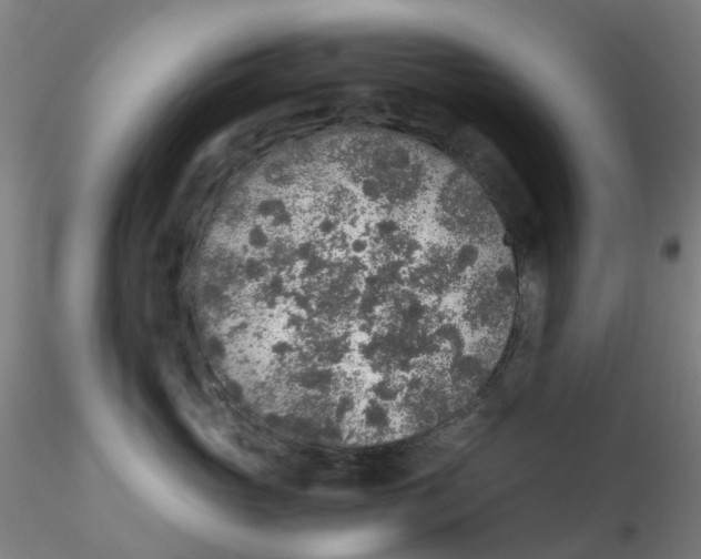 X0000115210765200911251507