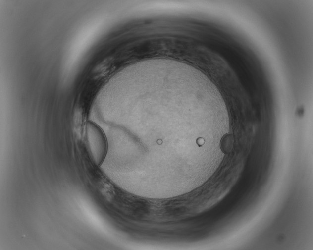 X0000115210766200911251507