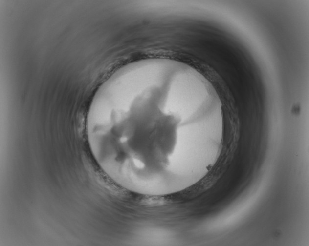 X0000115210767200911251507