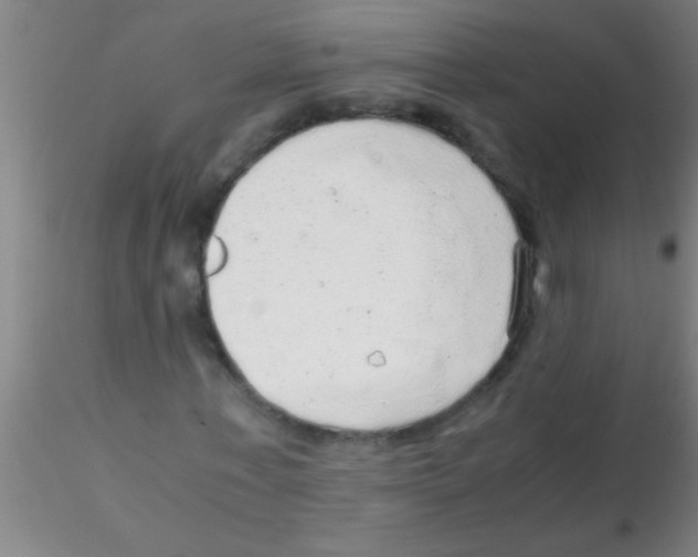 X0000115210771200911251507