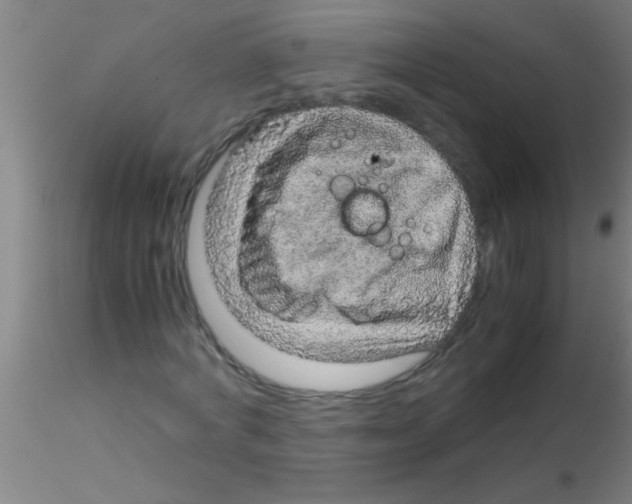 X0000115210772200911251507