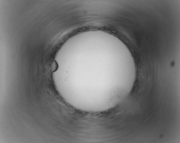 X0000115210773200911251507