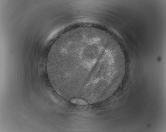 X0000115210775200911251507