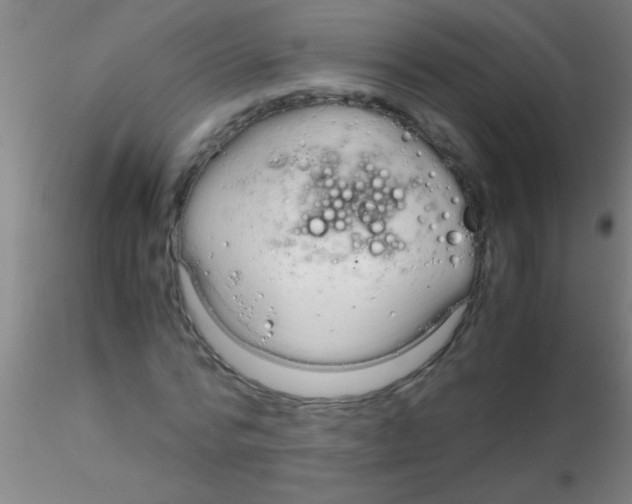 X0000115210776200911251507