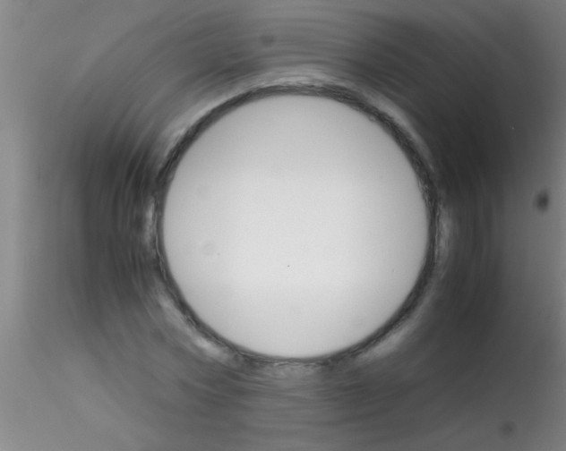 X0000115210778200911251507