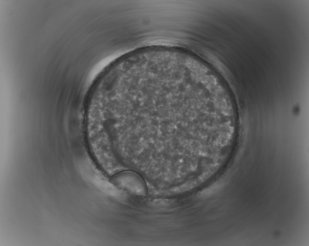 X0000115210779200911251507