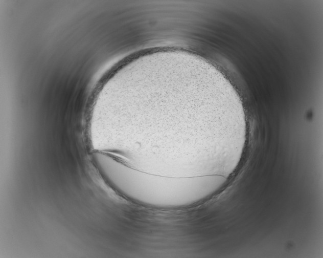 X0000115210780200911251507