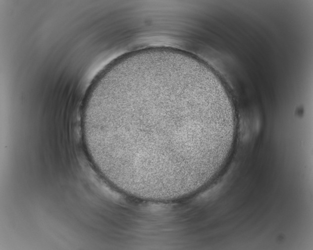 X0000115210782200911251507