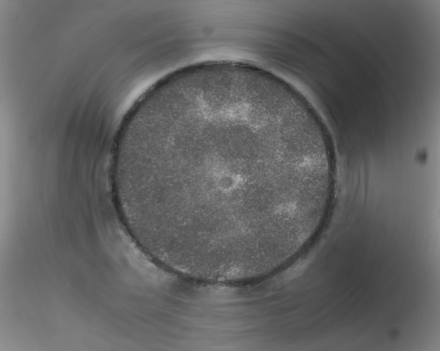 X0000115210783200911251507