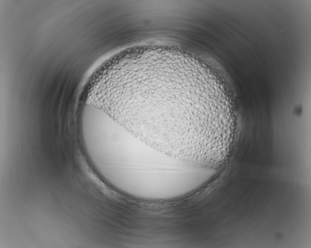 X0000115210784200911251507