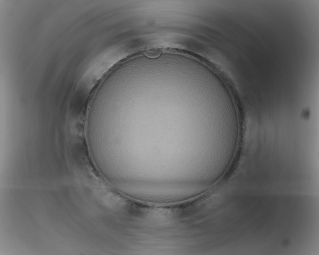 X0000115210785200911251506