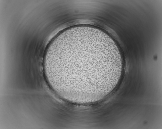 X0000115210786200911251506