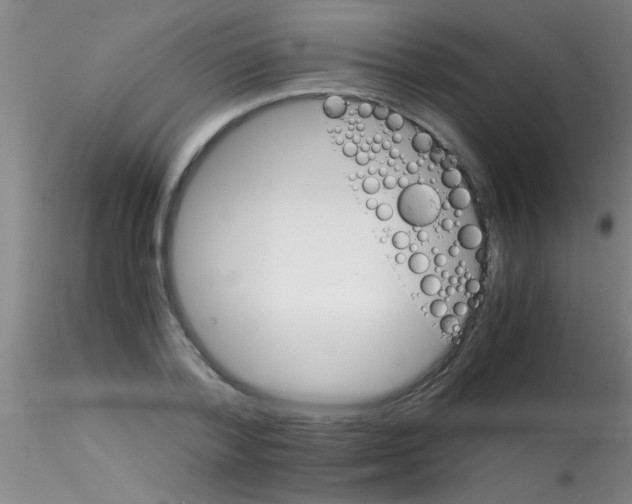 X0000115210788200911251506