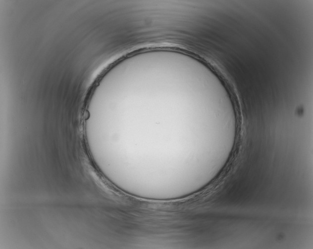 X0000115210789200911251506