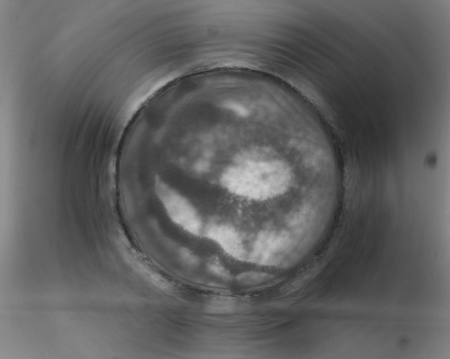 X0000115210790200911251506