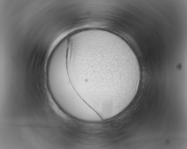 X0000115210792200911251506