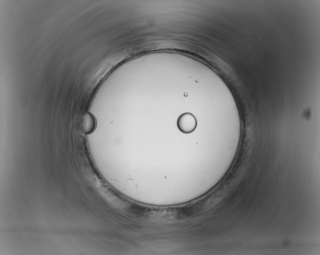 X0000115210793200911251506