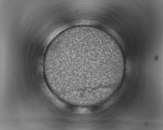 X0000115210794200911251506