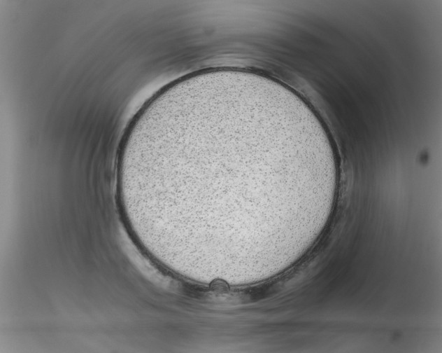 X0000115210795200911251506