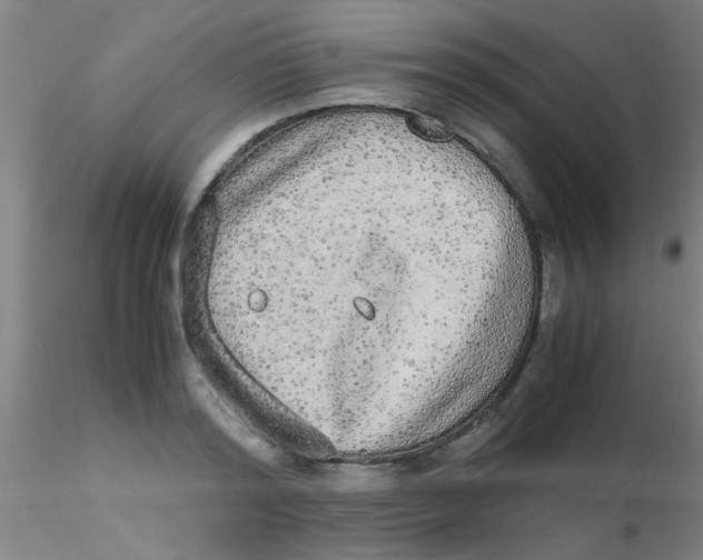 X0000115210796200911251506