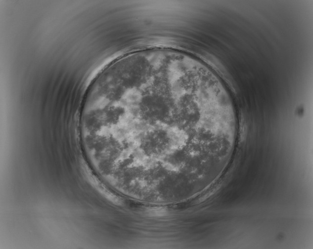 X0000115210798200911251506