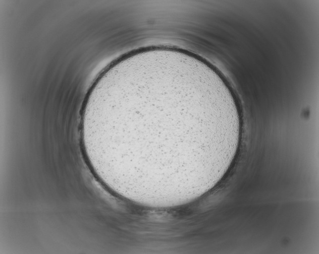 X0000115210799200911251506