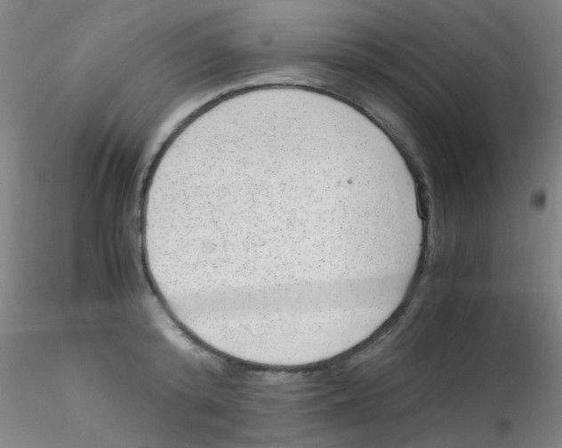 X0000115210800200911251506