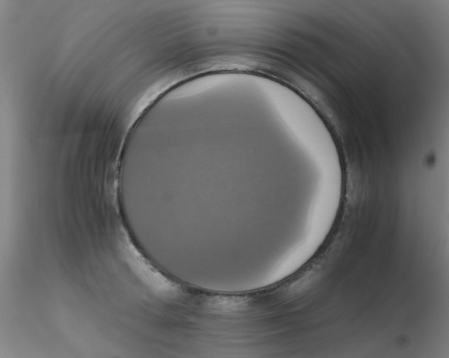 X0000115210802200911251506