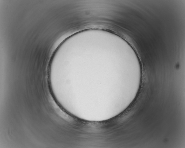 X0000115210803200911251506