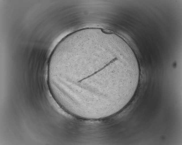 X0000115210804200911251506