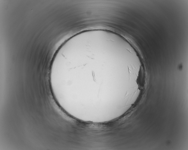 X0000115210805200911251506