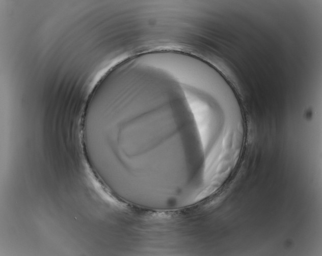 X0000115210806200911251506