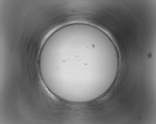 X0000115210807200911251506