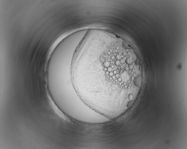 X0000115210808200911251506