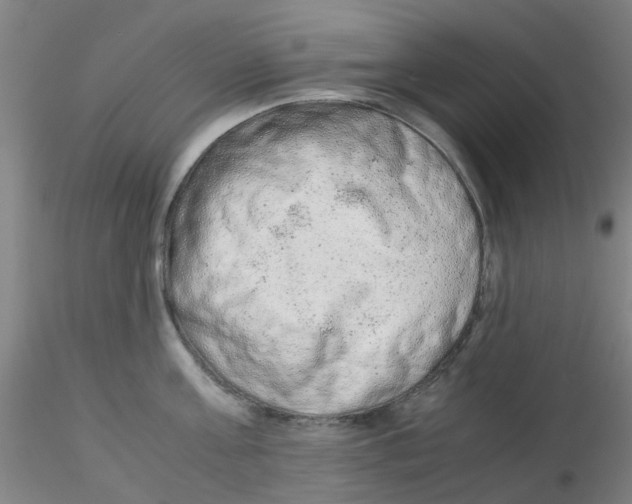 X0000115210811200911251506