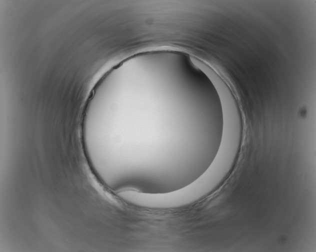 X0000115210813200911251506